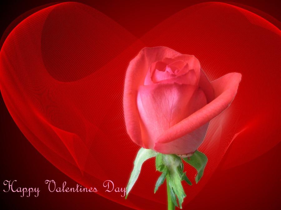 Valentinise Day cards-Wishes- Messages- For your Love