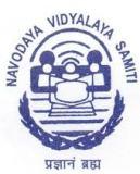 NVS emblem