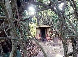 Mannarasala Sree Nagaraja Temple