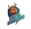 Karnataka Bulldozers