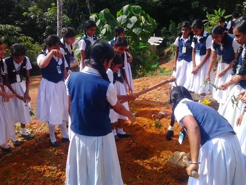 Environment Day Celebrations 2013 at St.Marys Public School Puthupally