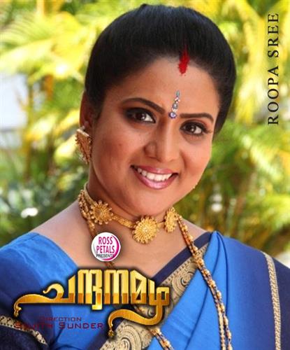 Gowri Krishna Malayalam Serial Actress â€" Profile, Biography and ... | serial actress biography  