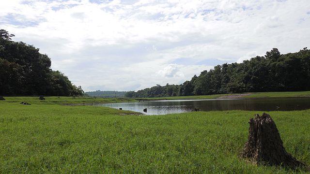 Thattekkad Bird Sanctuary - The first bird sanctuary in Kerala