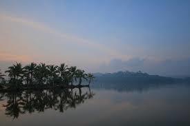 A Morning in Vellayani Lake