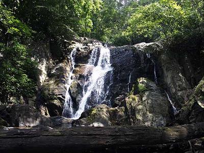 One of the Many Waterfalls at Agasthya Mala