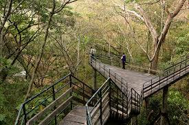 Thenmala Walkway