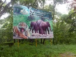 Flora and Fauna at Perunthenaruvi