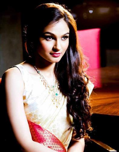 Andrea Jeremiah in Sari