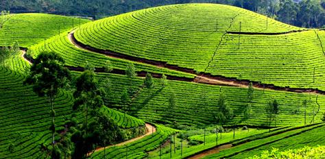 ponmudi