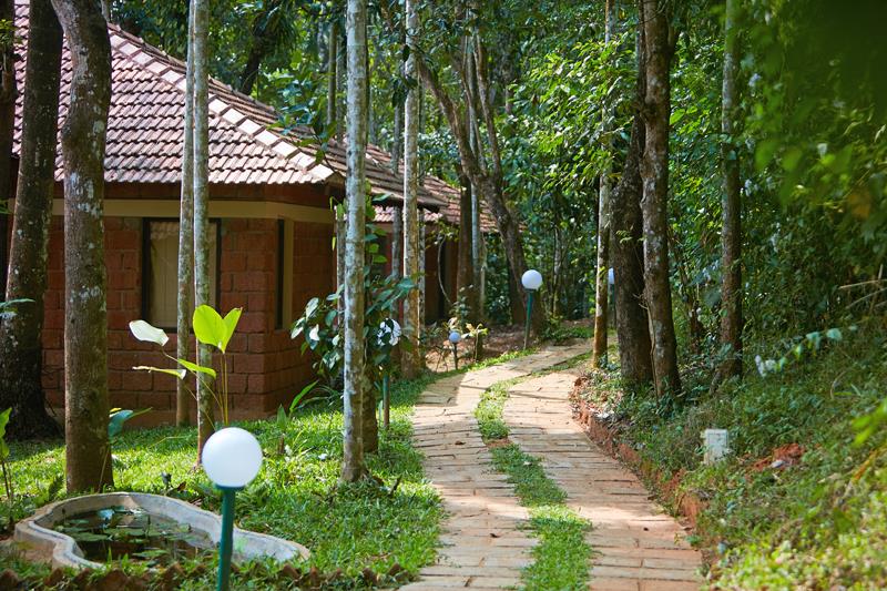 raindrops-nature-resorts-wayanad