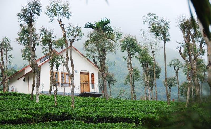 tea-terrace-nature-resort-wayanad