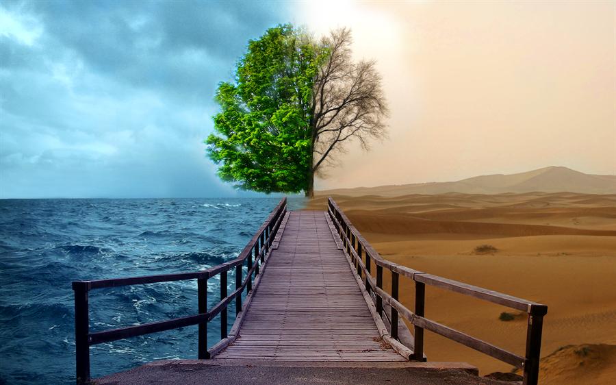 The two way