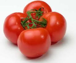 Tomato