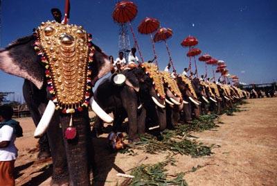 thrissur pooram 2011 live 