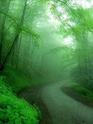 Rainy season