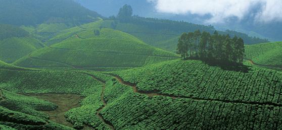 Munnar