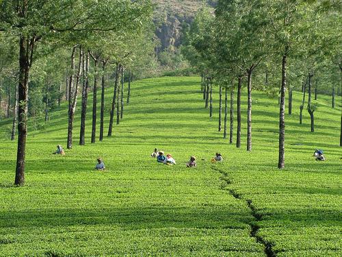 Munnar