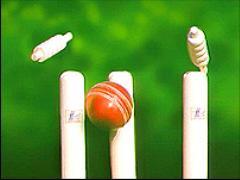 cricket