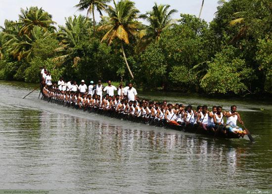 Snake Boat (Chundan Vallam)
