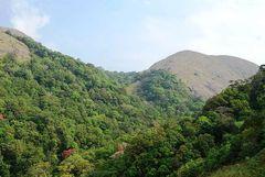 Nelliyampathi Hill Station