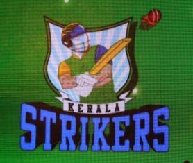 team logo