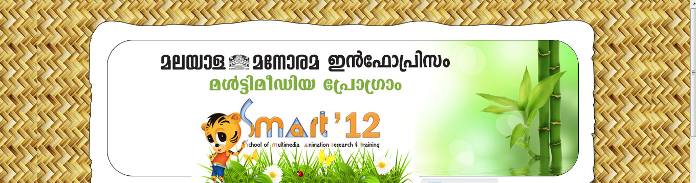 SMART 12